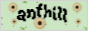 anthill