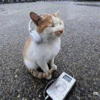 picture of a dog with headphones