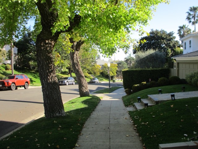 neighborhood walk