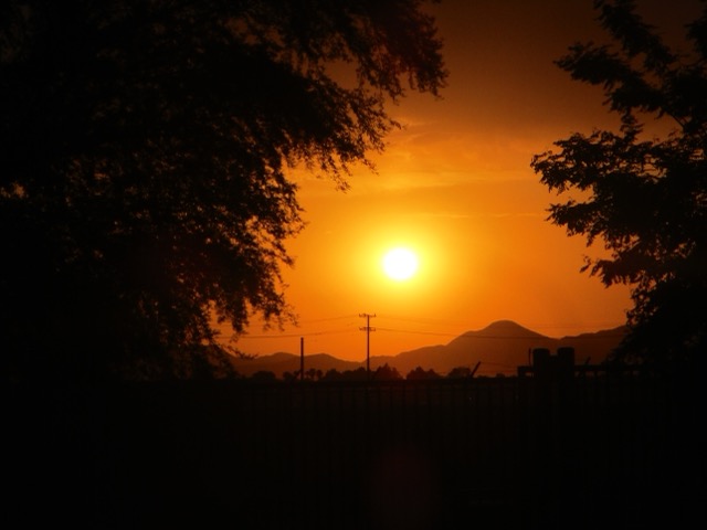 walking on campus at sunset